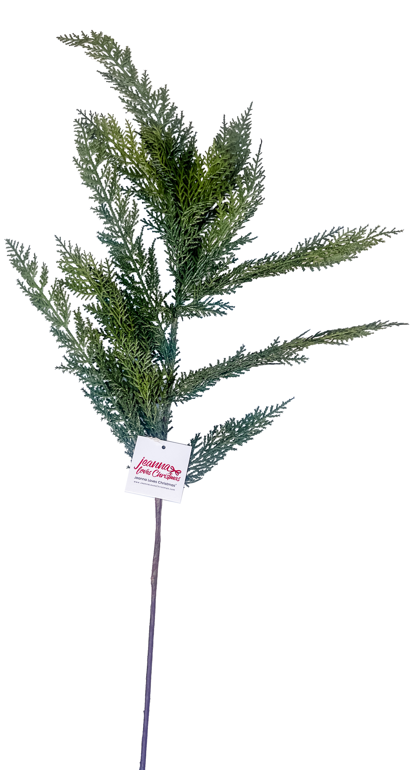 Cypress Spray