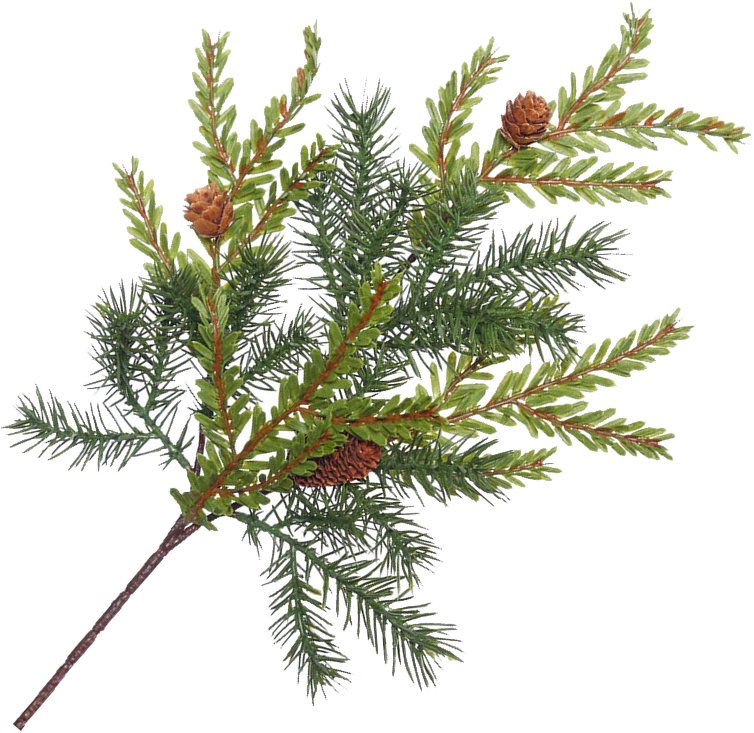 Hemlock Pine Pick