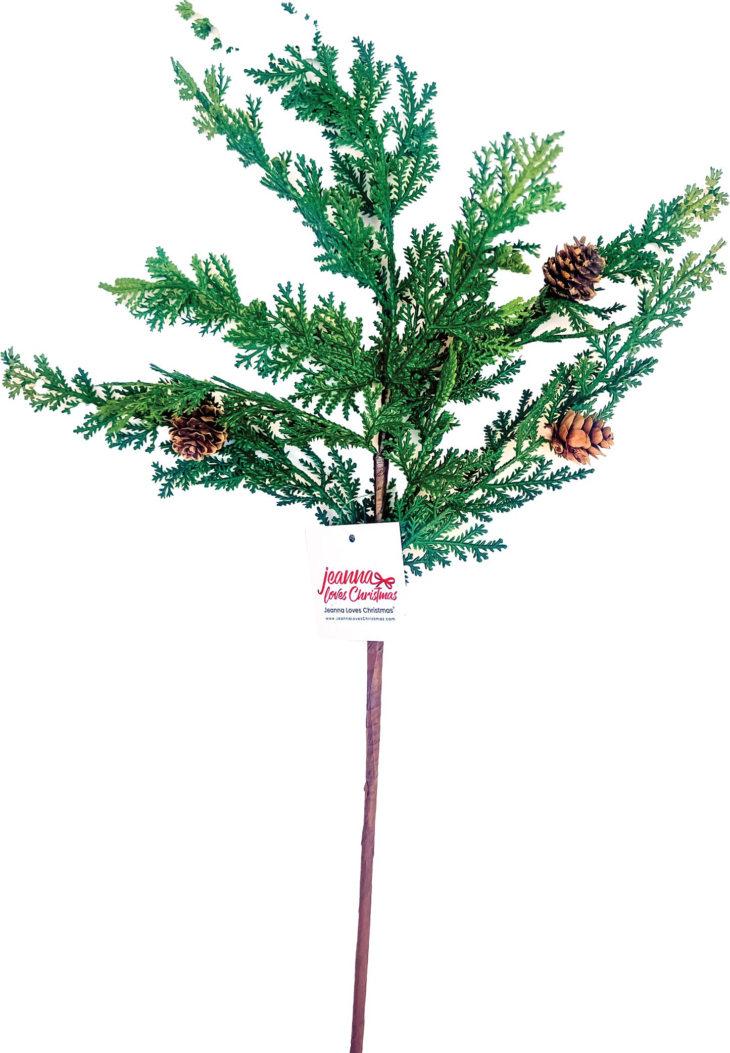 Mini Cypress Pick