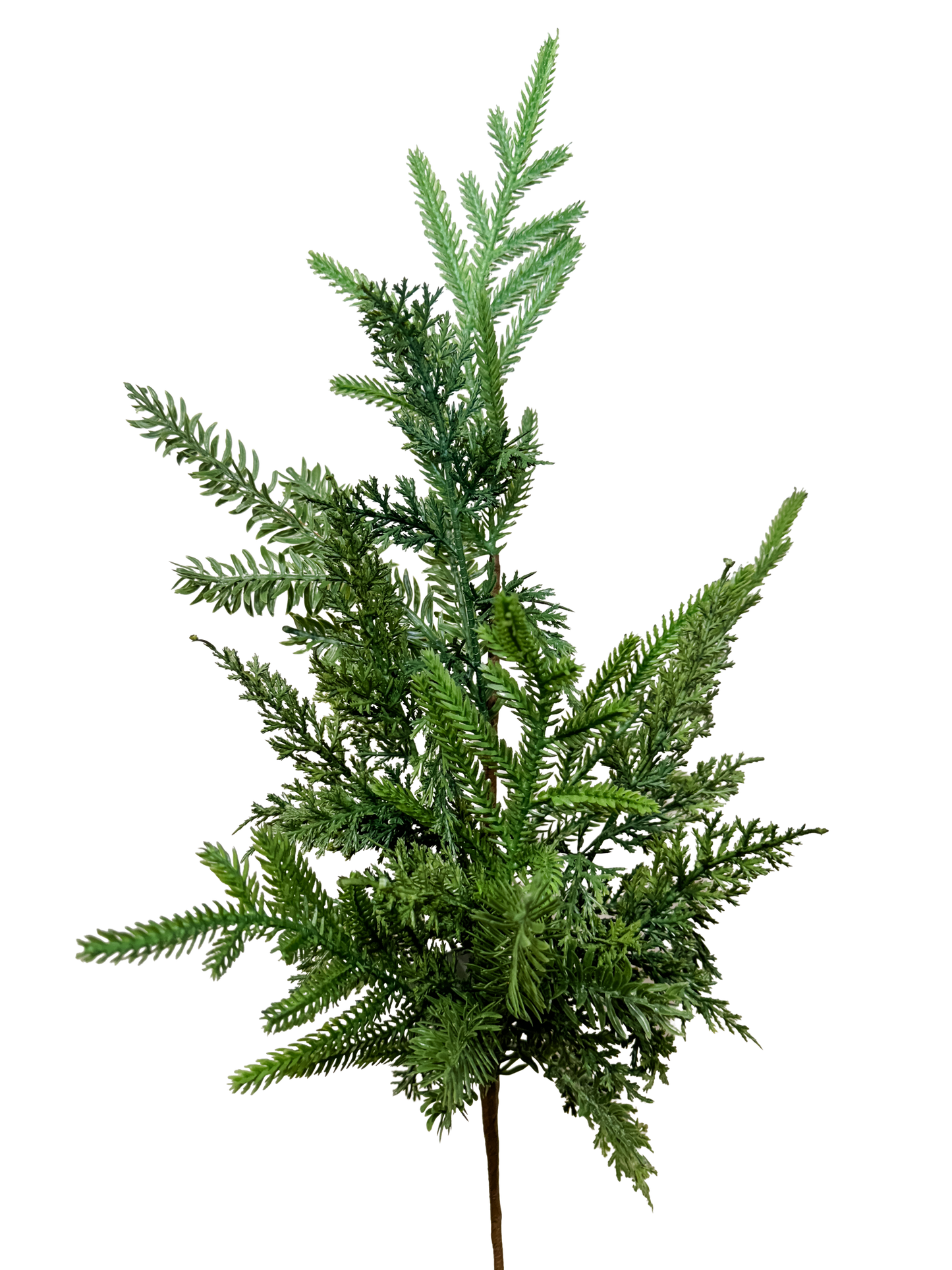 Mixed Pine Spray