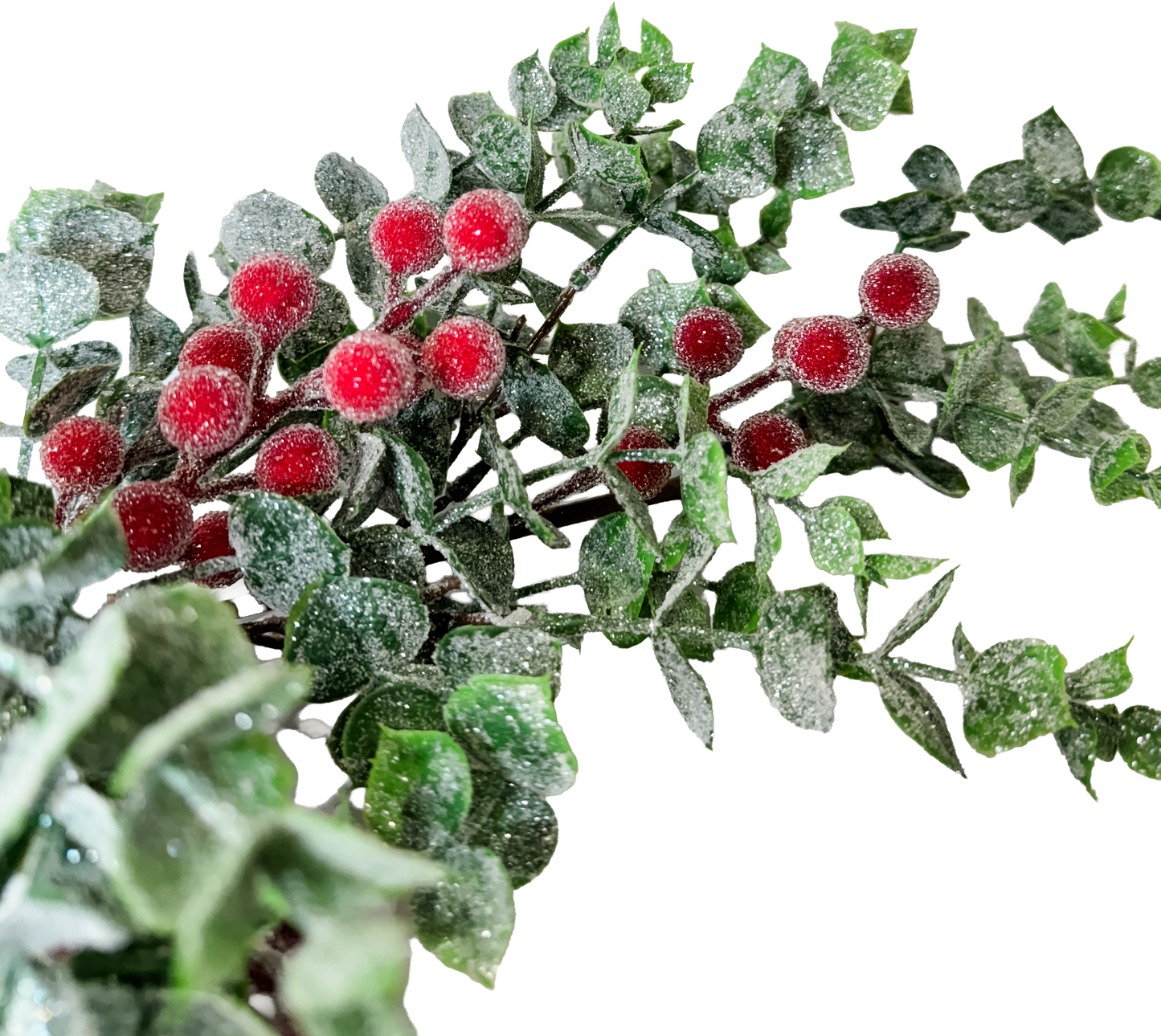 Sugared Berry Spray