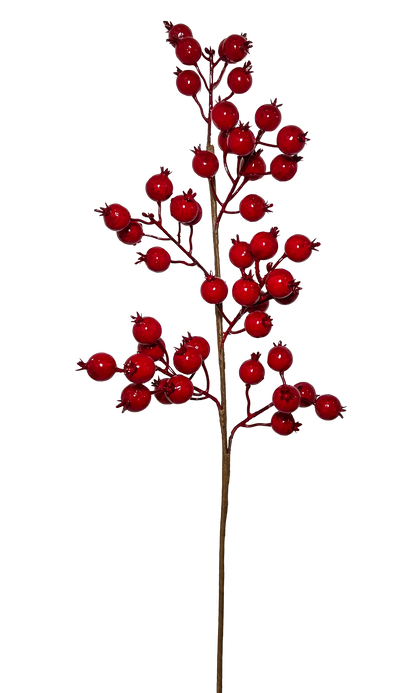 Berry Burst Pick