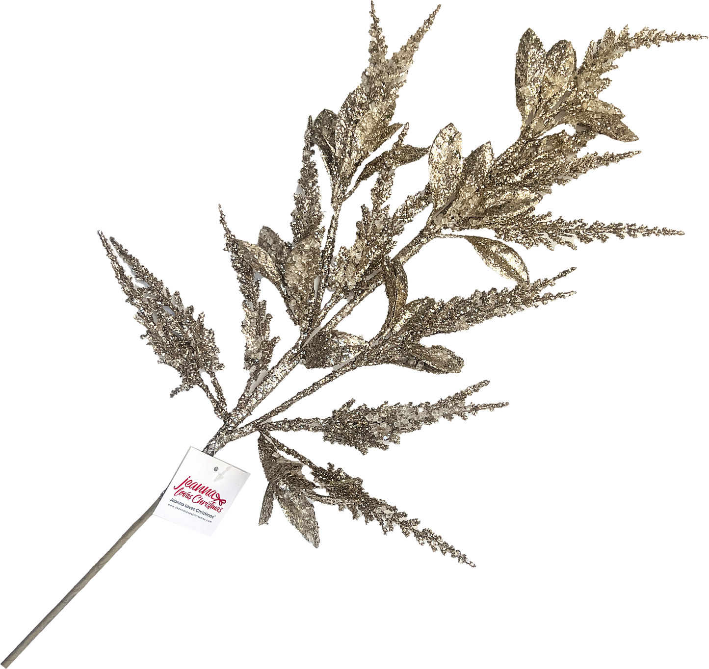 Bubbly Glittered Fern Spray