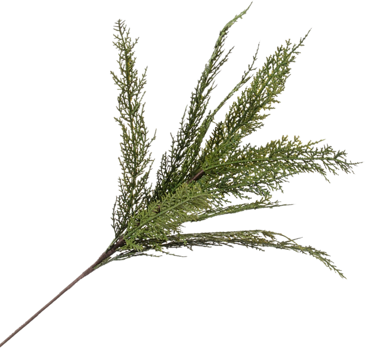 Cedar Spray