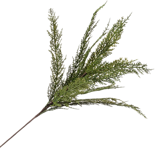 Cedar Spray