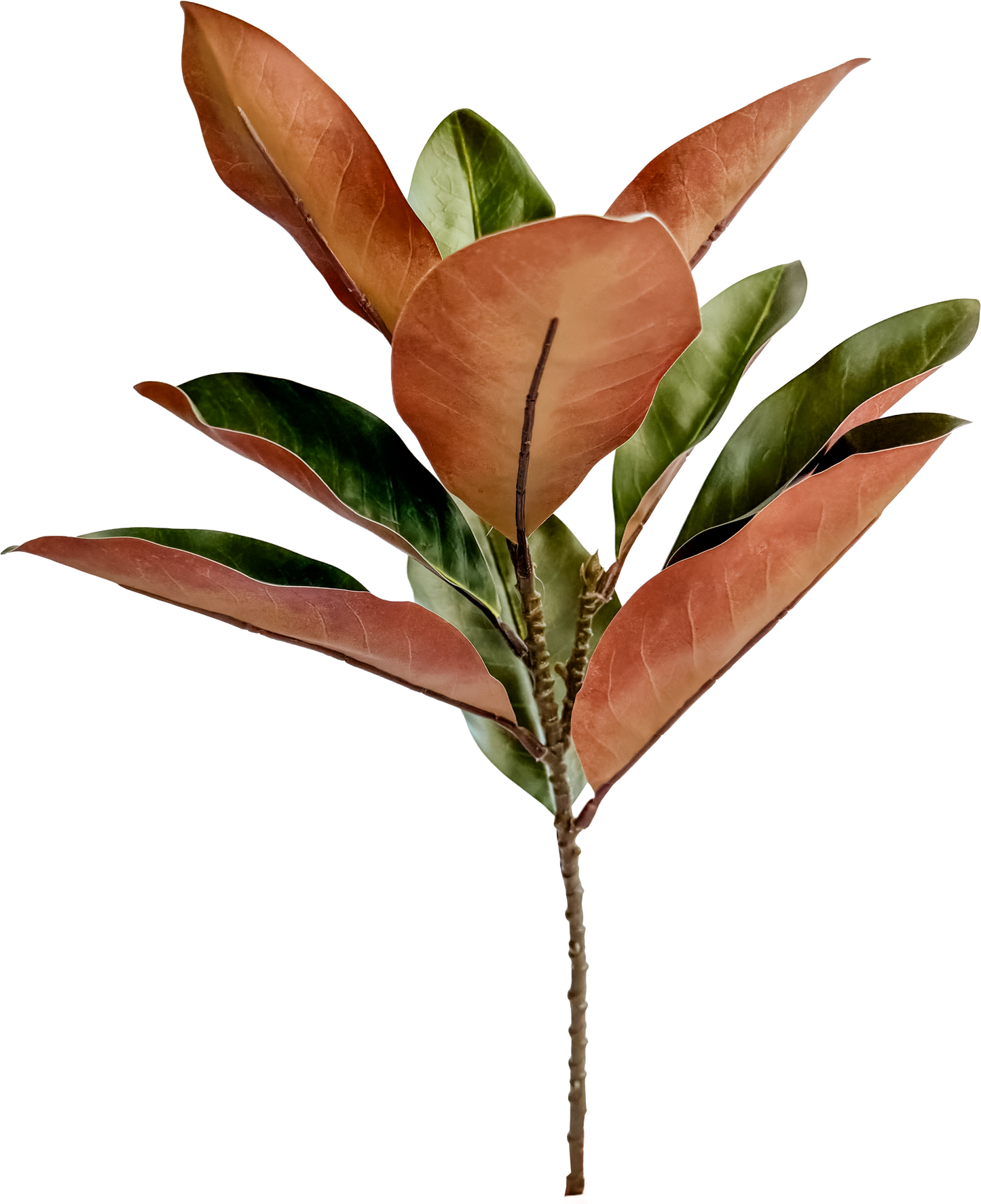 Christmas Magnolia Leaf Spray