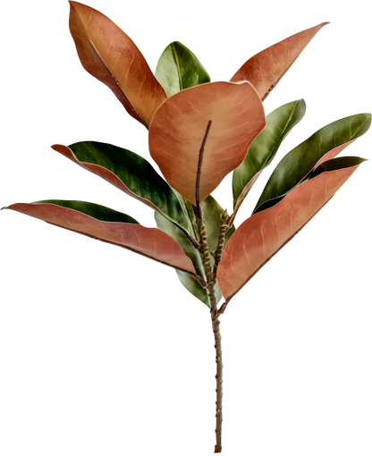 Christmas Magnolia Leaf Spray