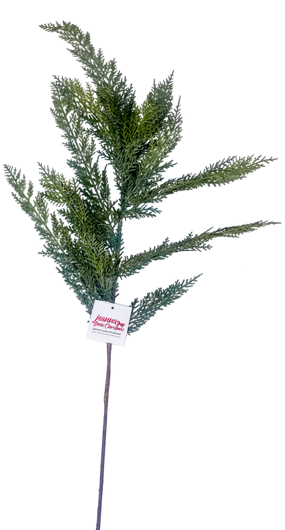 Cypress Spray