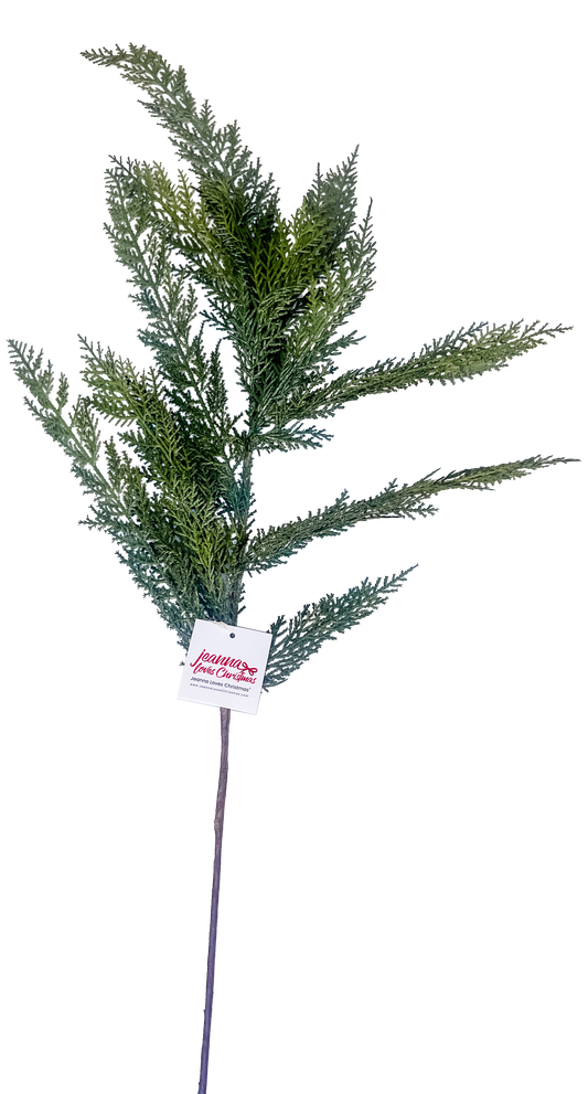 Cypress Spray