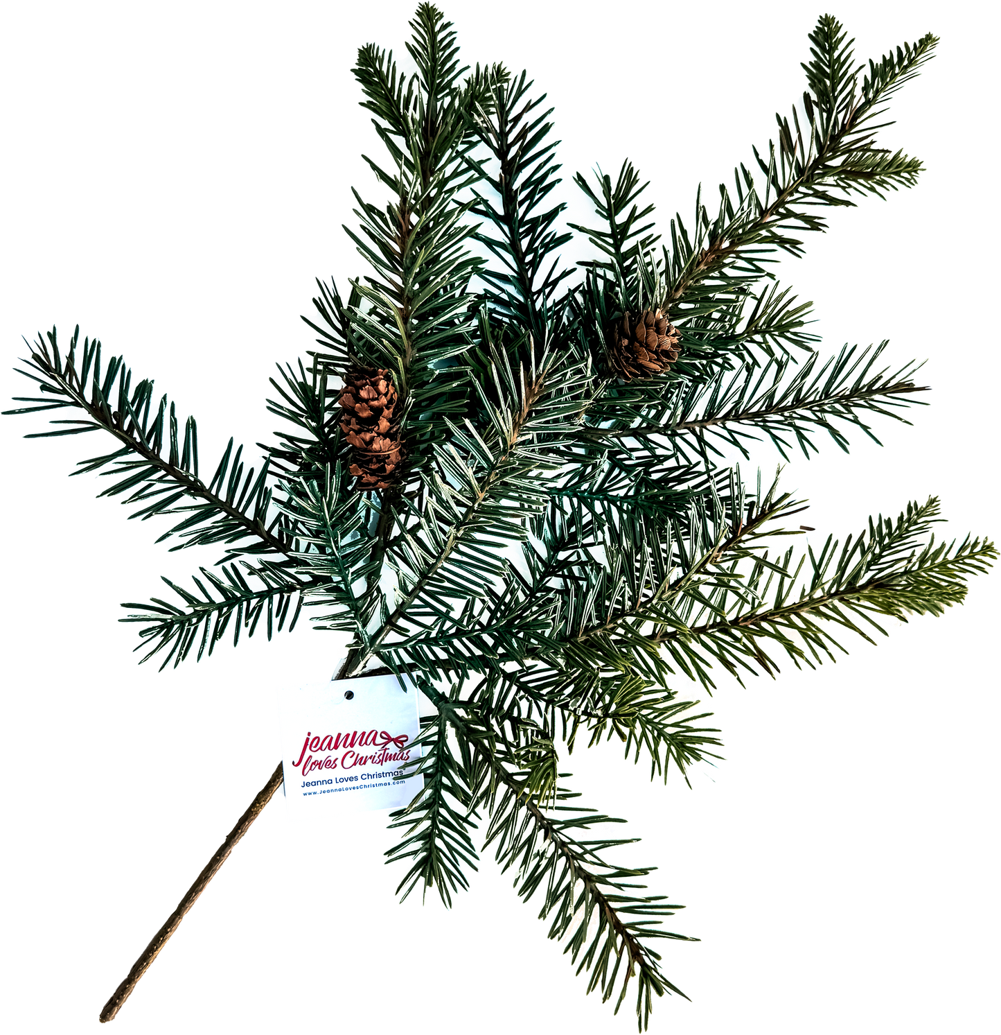 Fresh From the Forest Fir Pick