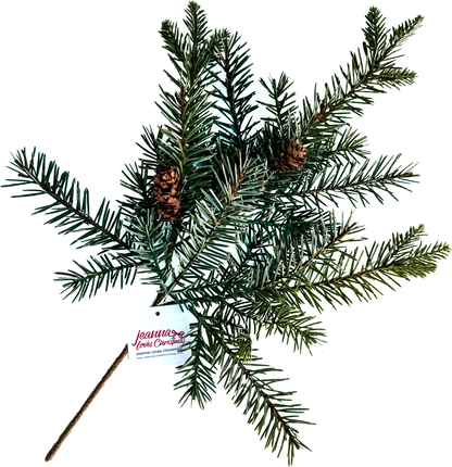 Fresh From the Forest Fir Pick