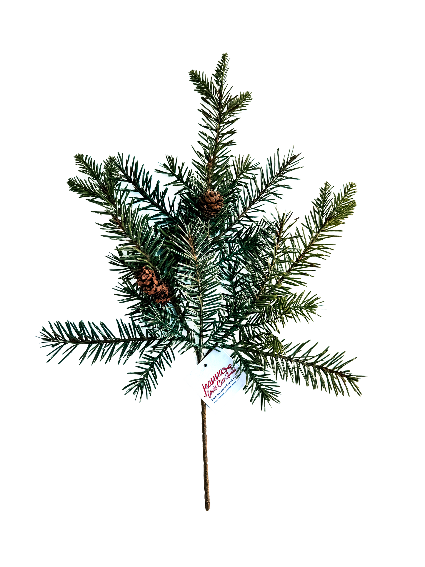Fresh From the Forest Fir Pick