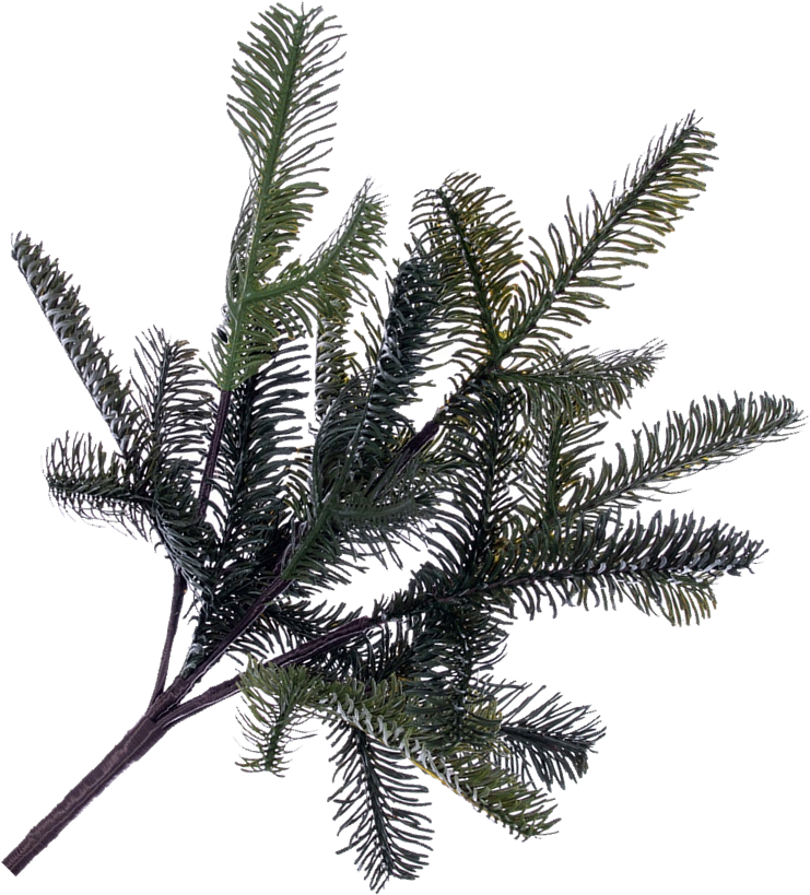Fresh From the Forest Fir Spray