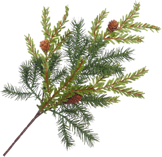Hemlock Pine Pick