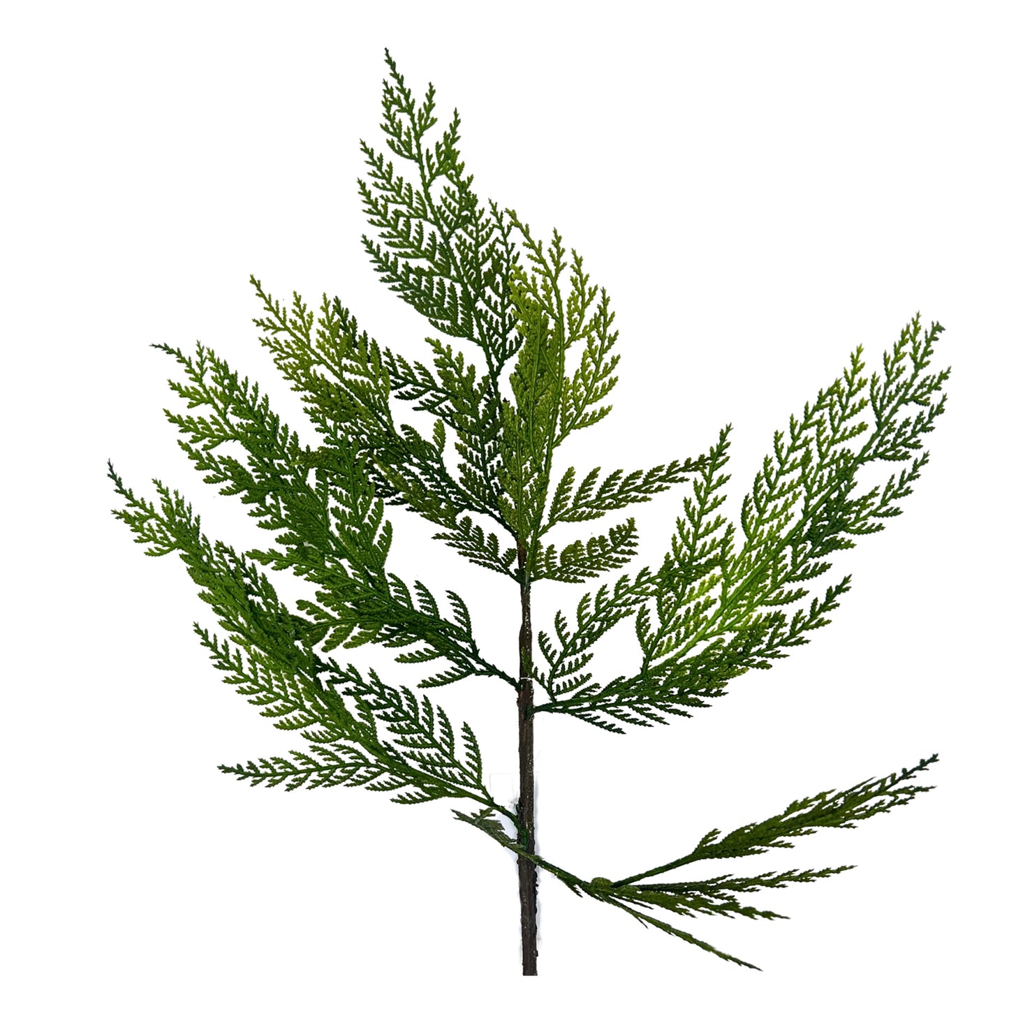 Pacific Cedar Spray 26"