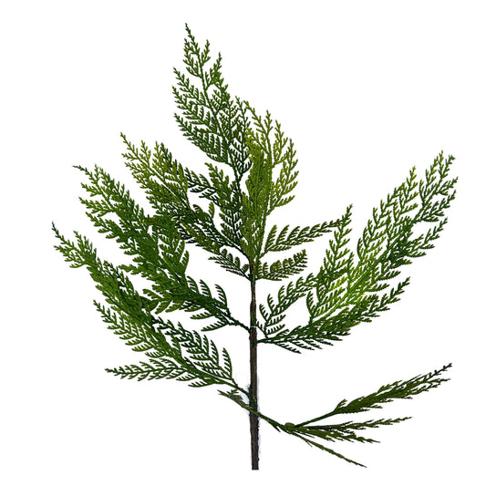 Pacific Cedar Spray 26"