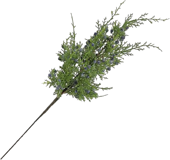 Juniper Pick