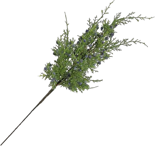 Juniper Pick