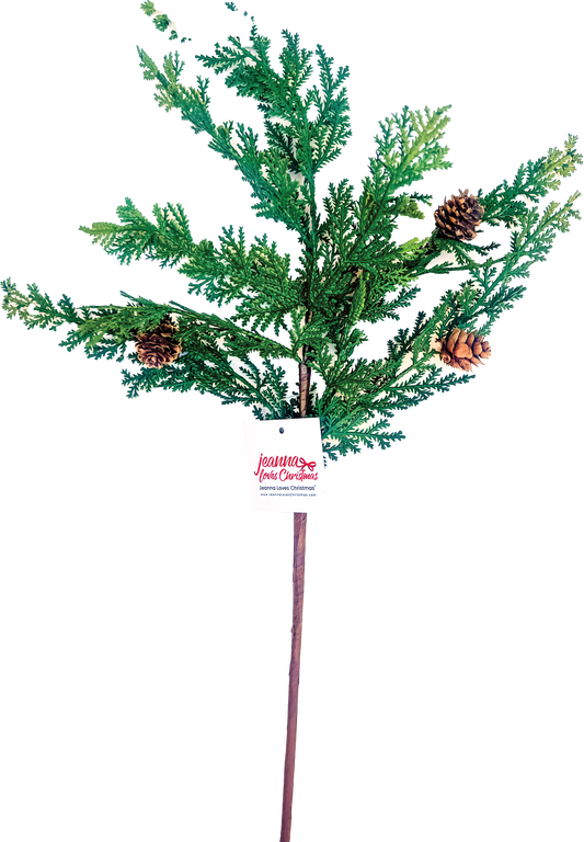 Mini Cypress Pick