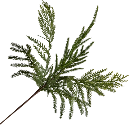 Mixed Norfolk Pine Spray