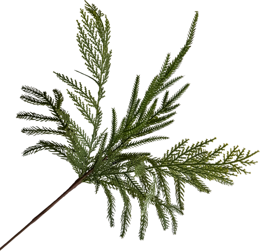 Mixed Norfolk Pine Spray