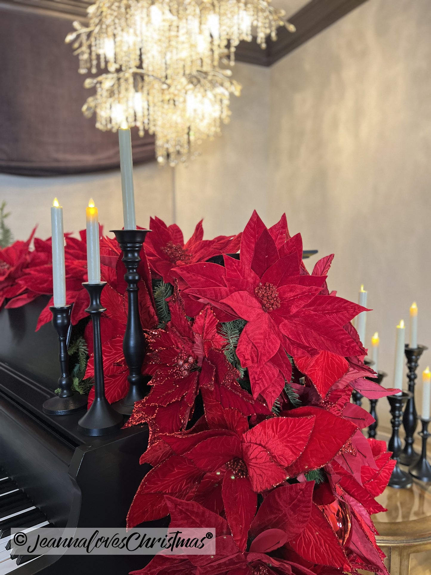 Velvet Poinsettia - Extra Large