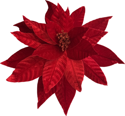 Velvet Poinsettia - Large