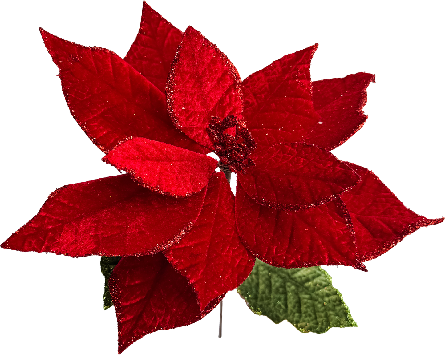 Velvet Poinsettia - Medium
