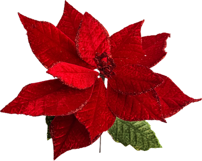 Velvet Poinsettia - Medium