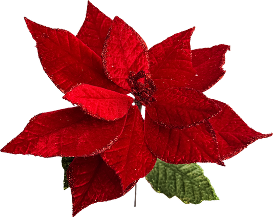 Velvet Poinsettia - Medium