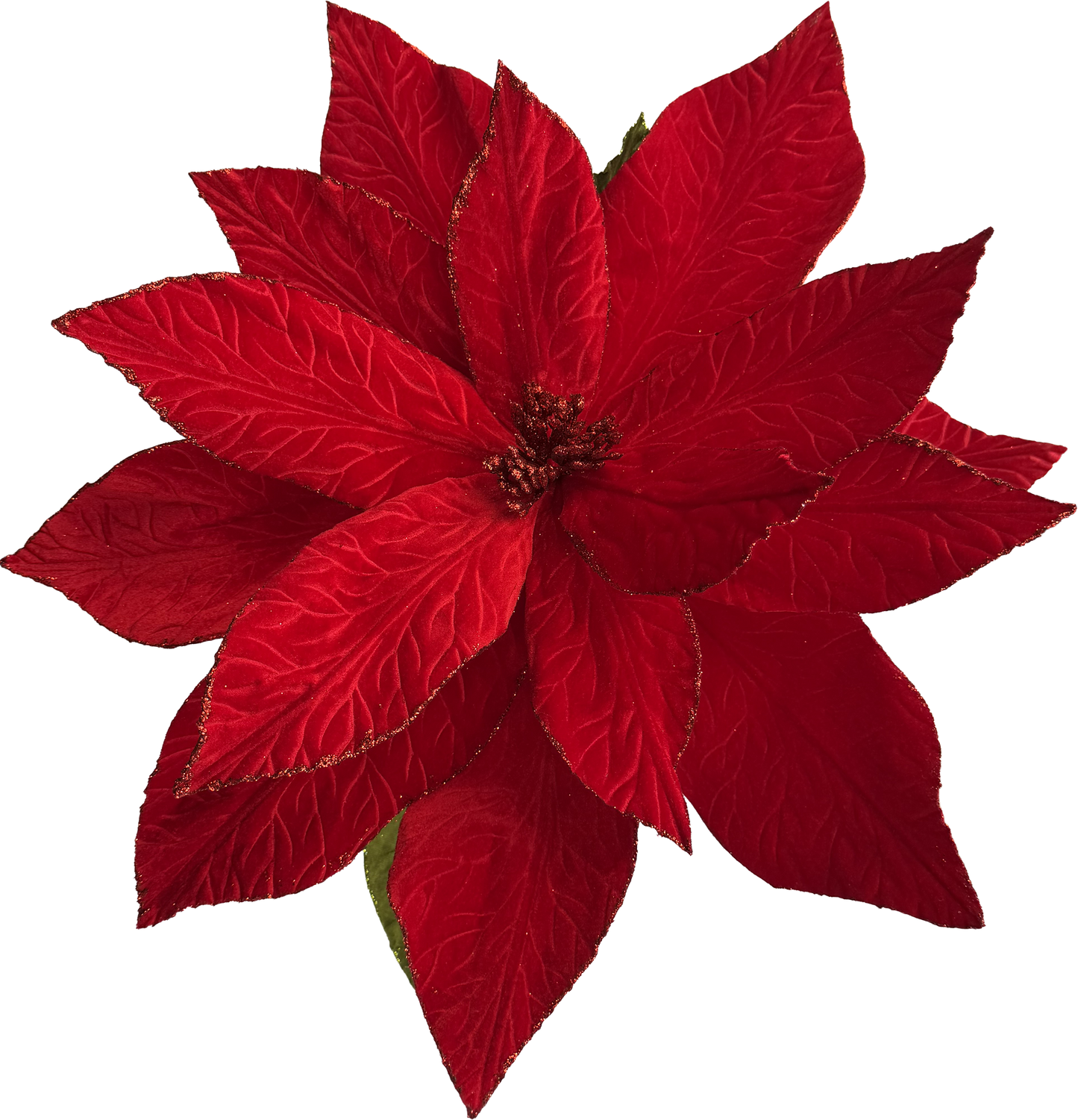 Velvet Poinsettia - Extra Large