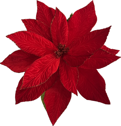 Velvet Poinsettia - Extra Large