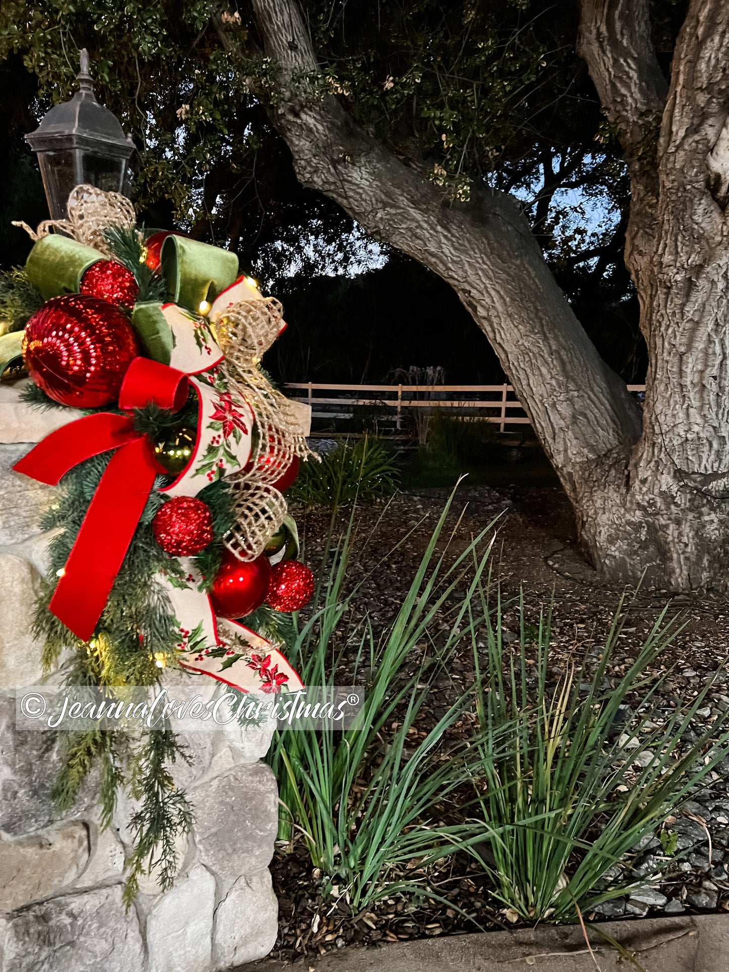 Poinsettia Holly Shimmer