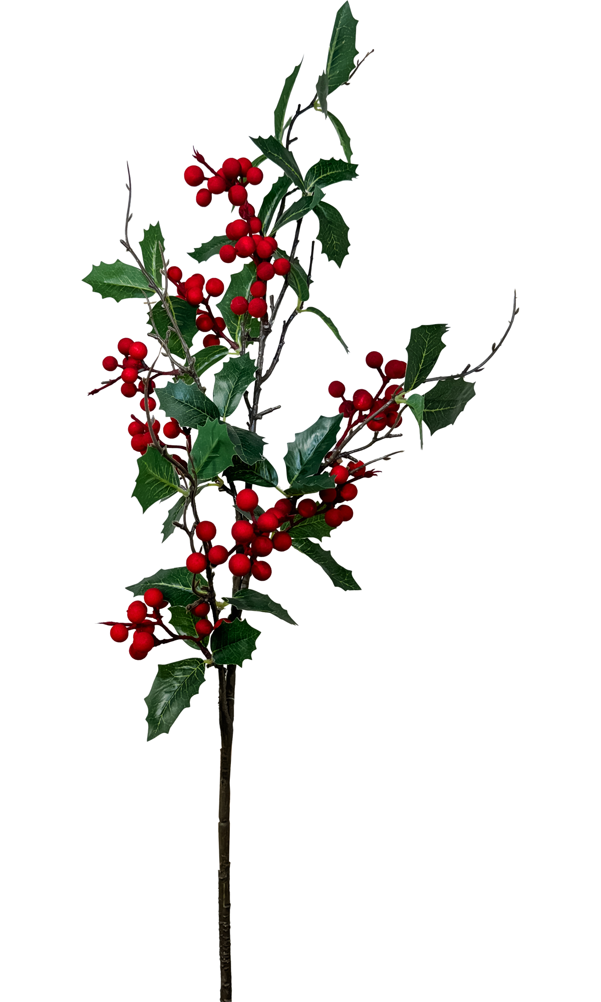 Refined Holly Spray - Red