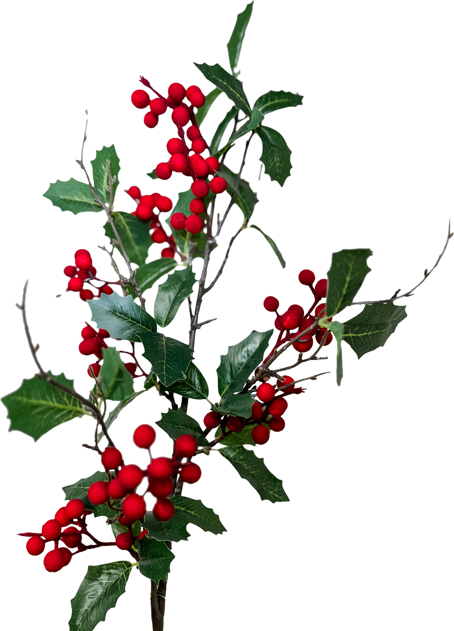 Refined Holly Spray - Red
