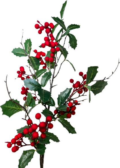 Refined Holly Spray - Red