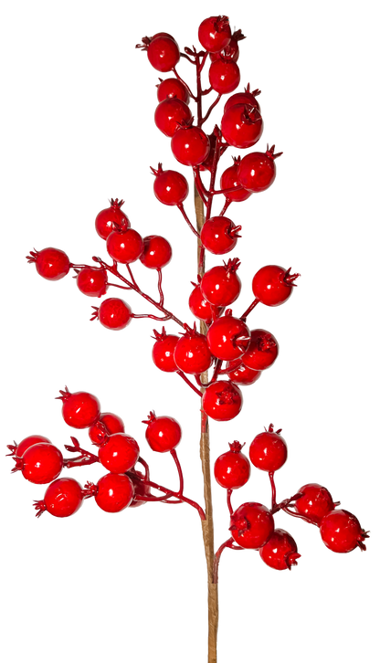 Royalty Red Berry Pick