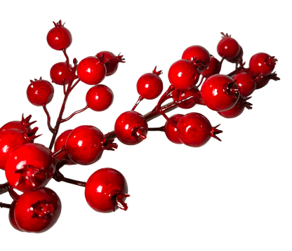 Royalty Red Berry Pick
