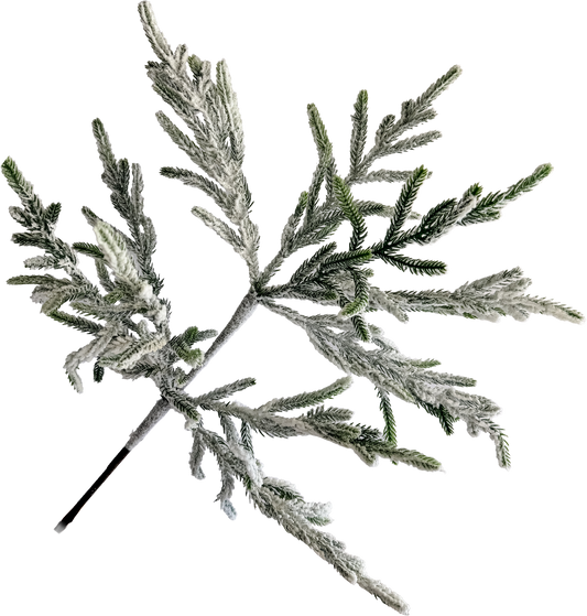 Snow Kissed Norfolk Spray