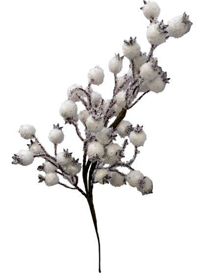 Winter Berry Pick
