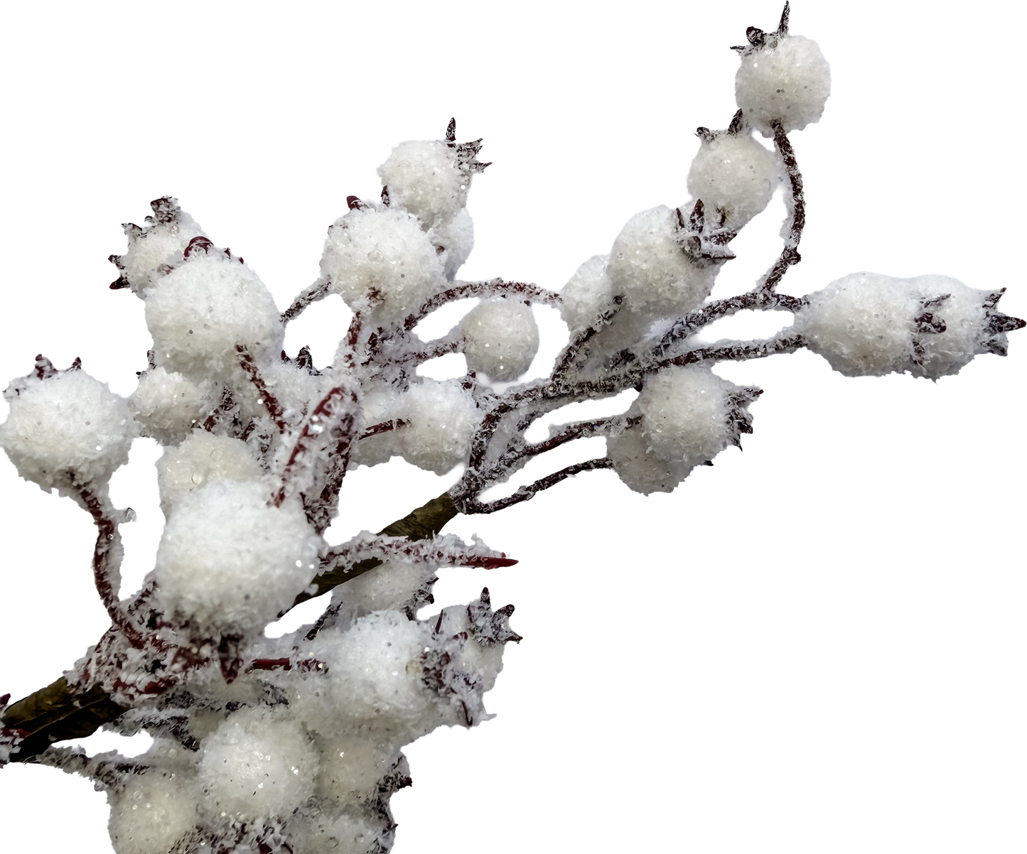 Winter Berry Pick